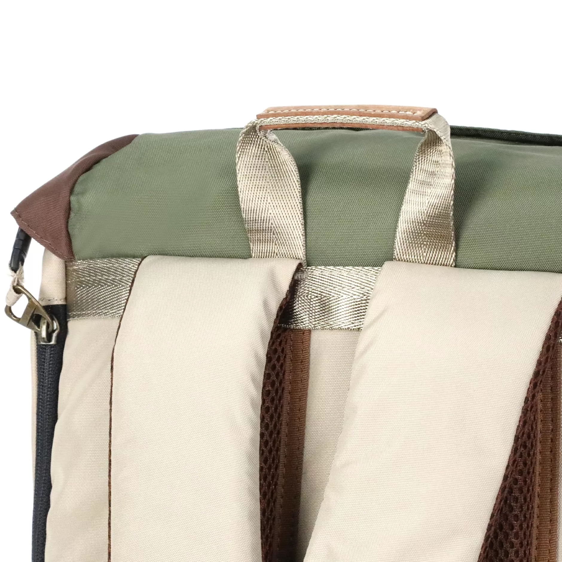 Online Doughnut Colorado Jungle Ii Series Backpack